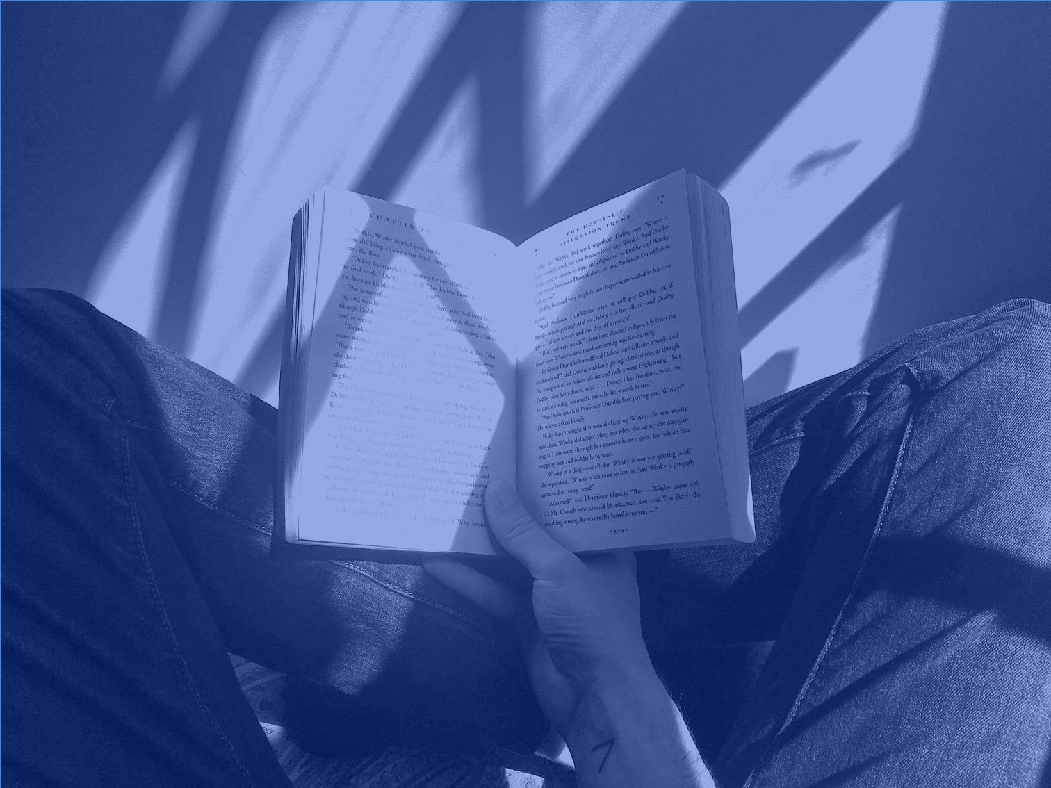 Уроки литературы здорового человека